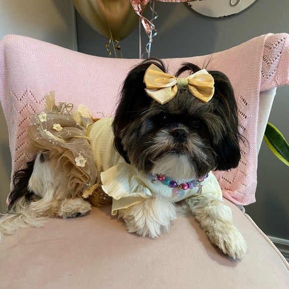 Meet your Posher, Carolyn - Picture 8 of 8